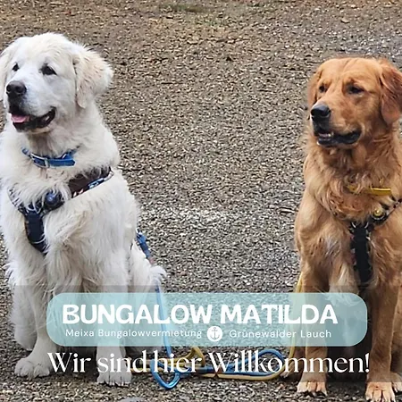 Διαμέρισμα Matilda